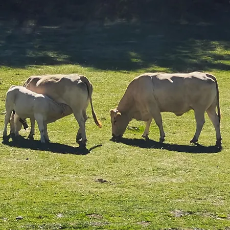 Apartamento A Estrenar En *