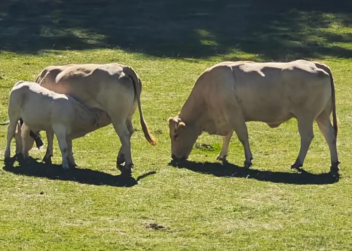 Apartamento A Estrenar En *